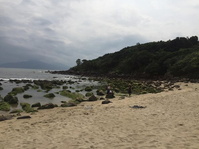 Danang residents protest coastal tourism project - 2
