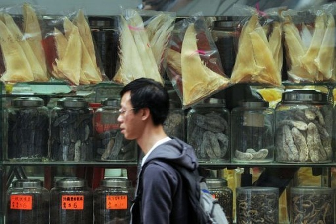 Asia loses its taste for shark fin - 1 Asia loses its taste for shark fin - 1