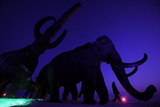 S.Korean, Russian scientists bid to clone mammoth - 1