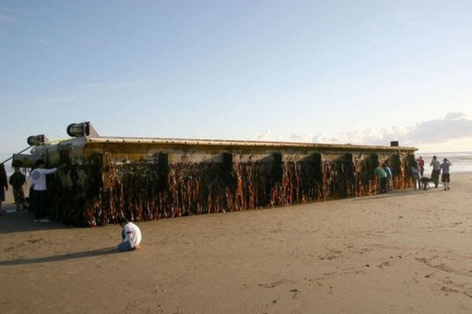 Huge Japan tsunami dock washes up on US beach - 1
