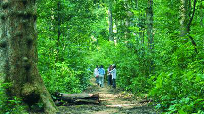Phu Quoc National Park - 3 Phu Quoc National Park - 3