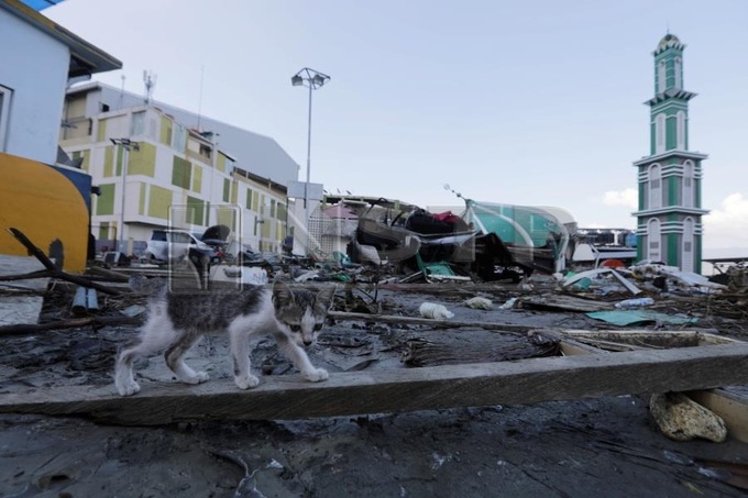 UN warns Indonesia quake needs 'vast' as toll nears 1,400 - 1