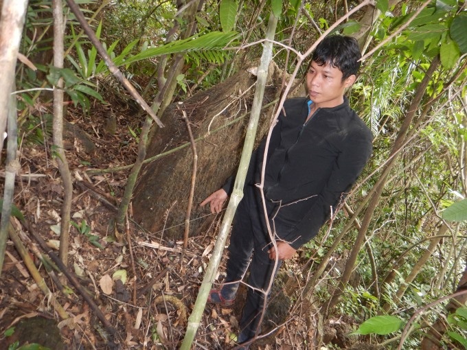 Men prosecuted for killing Indochinese serow in Quảng Bình - 1 Men prosecuted for killing Indochinese serow in Quảng Bình - 1