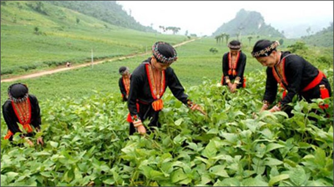 Vietnam denies rumours about poverty reduction - 1 Vietnam denies rumours about poverty reduction - 1