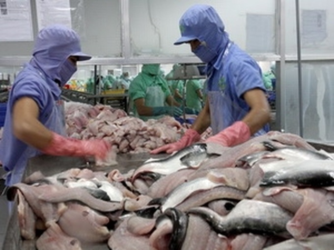 Vietnam’s aquatic export forecast to hit 6.5 billion USD - 1 Vietnam’s aquatic export forecast to hit 6.5 billion USD - 1