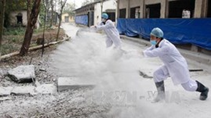 Vietnam takes prompt action against bird flu - 1