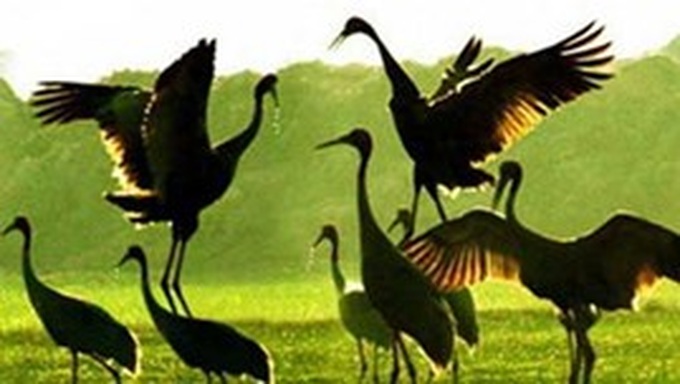 Germany helps Vietnam combat climate change - 1