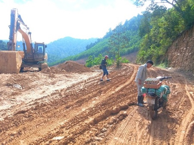 Highway project causes diversity loss for forest - 1