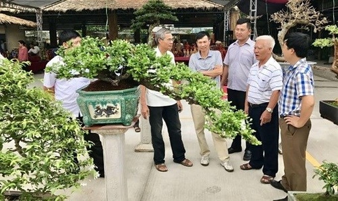 Quang Ninh has first ornamental market - 1