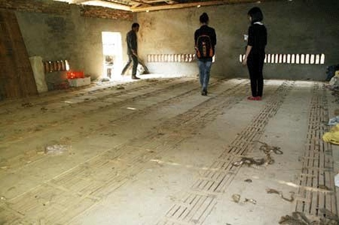 Raising poisonous snakes in Vinh Phuc - 1 Raising poisonous snakes in Vinh Phuc - 1