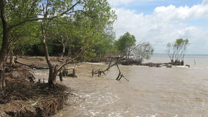 Germany supports Mekong Delta’s climate change adaptation - 1 Germany supports Mekong Delta’s climate change adaptation - 1