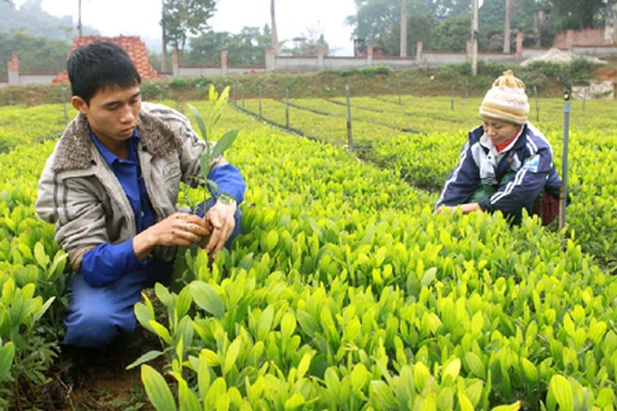 Localities fail to hit afforestation target - 1 Localities fail to hit afforestation target - 1