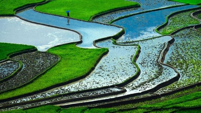 Vietnam's terraced fields among Top 25 surreal landscapes - 1