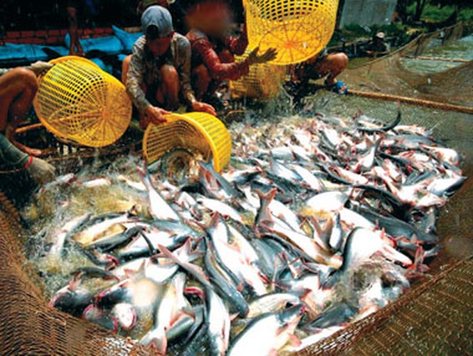 Almost 61 trillion VND to develop fisheries sector to 2020 - 1