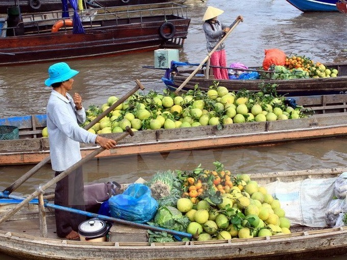 Cai Rang Floating Market Festival opens in Can Tho - 1