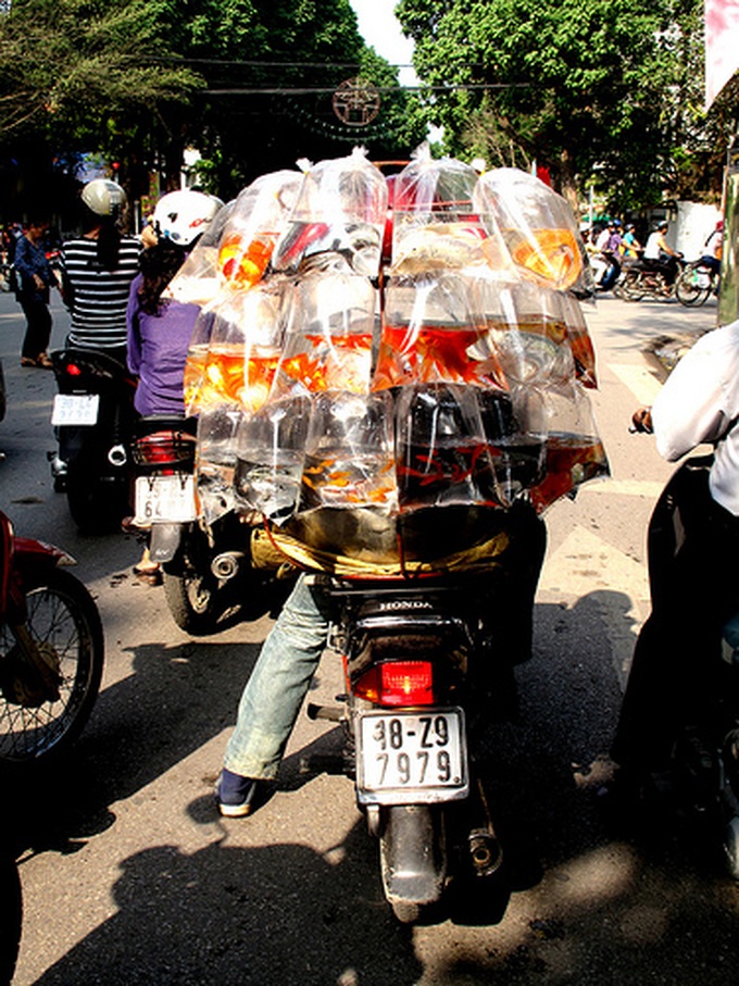 Just your average day in Saigon - 1 Just your average day in Saigon - 1