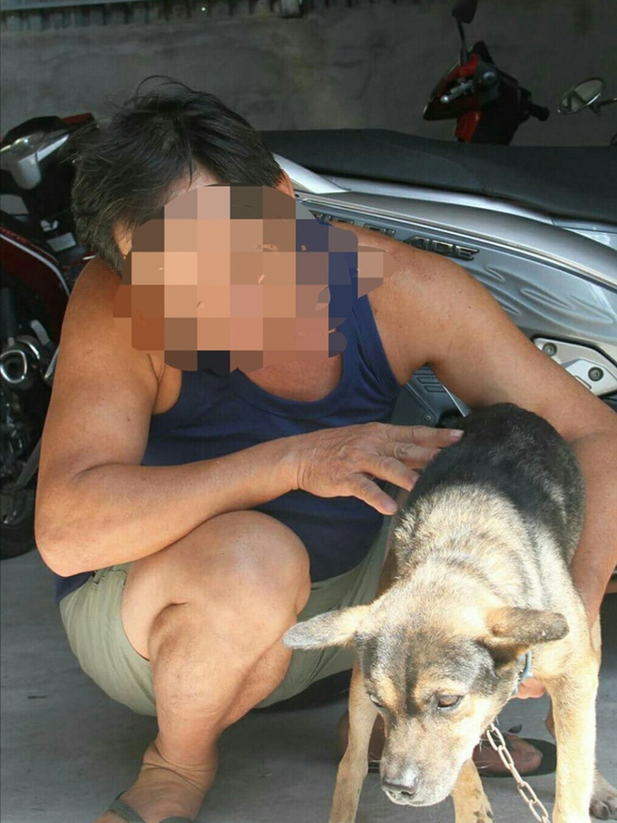 Dog thieves become more aggressive - 1