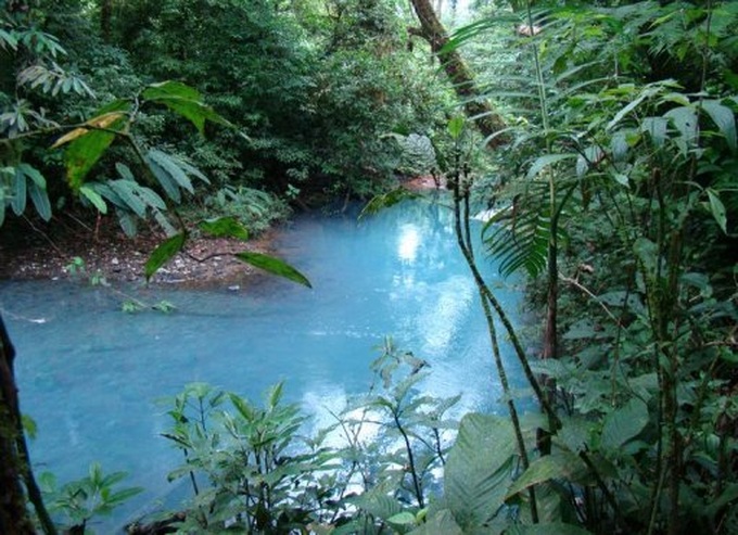 Costa Rica set to ban hunting for sport - 1 Costa Rica set to ban hunting for sport - 1