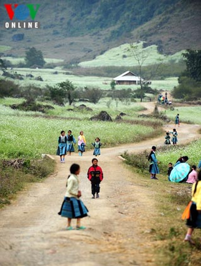 Mong ethnic people welcome New Spring - 4