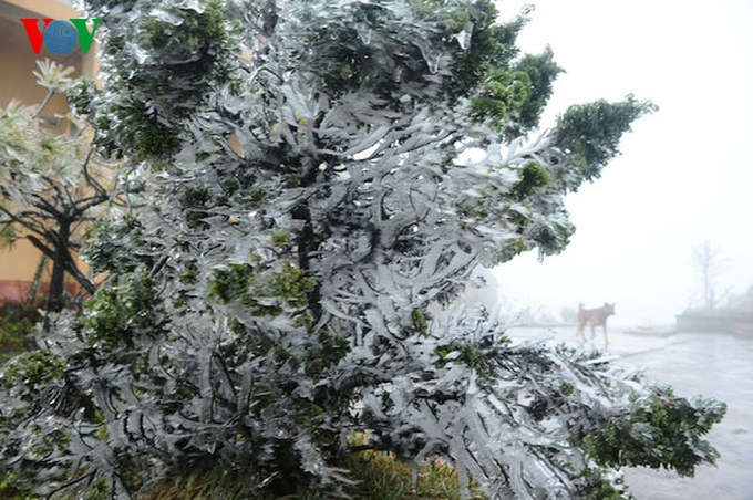 Ice crystallises Mau Son Mountain - 3