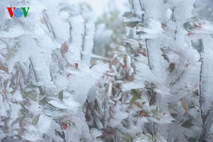 Ice crystallises Mau Son Mountain - 14