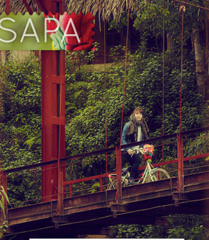 Ha Long Bay on US website - 4