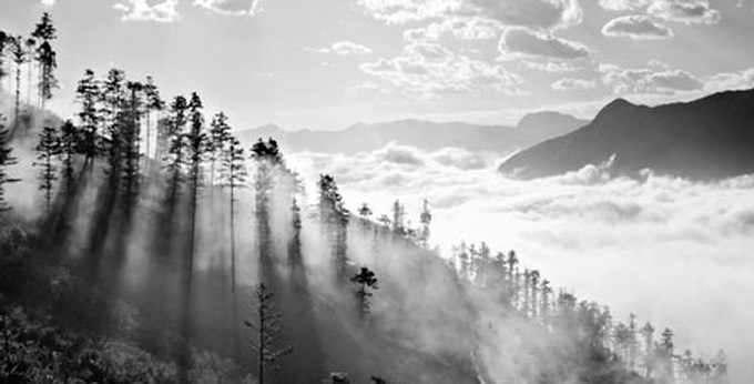 Foggy Sapa - 2 Foggy Sapa - 2