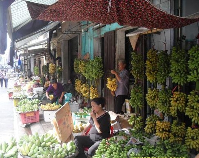 Royal bananas light up rural village - 4 Royal bananas light up rural village - 4