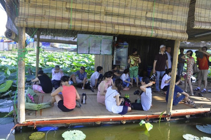 Young people drawn to lotus tea from West Lake - 2