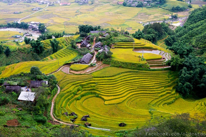 Sapa terraced fields among top 30 beautiful places globally - 1