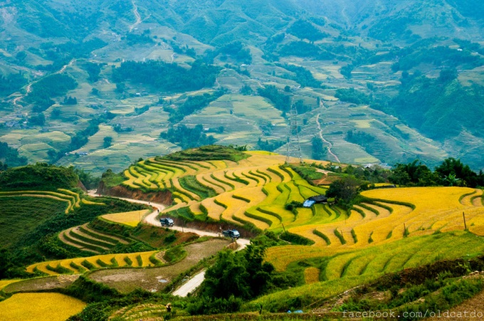 Sapa terraced fields among top 30 beautiful places globally - 2