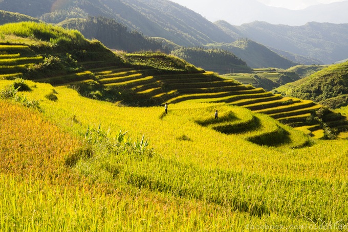 Sapa terraced fields among top 30 beautiful places globally - 7