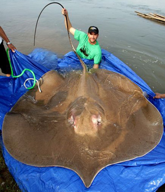 Mekong River reveals huge bounty - 8 Mekong River reveals huge bounty - 8
