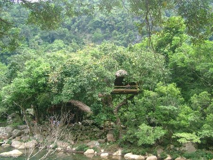 Bird-nest restaurants new feature in Quang Binh eco-resort - 4