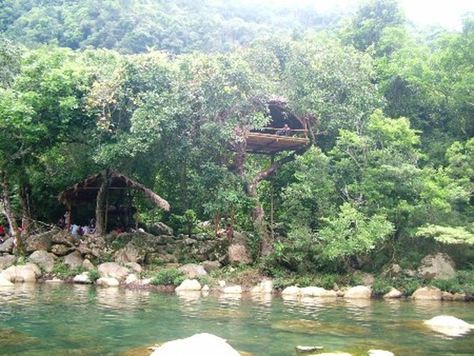 Bird-nest restaurants new feature in Quang Binh eco-resort - 10