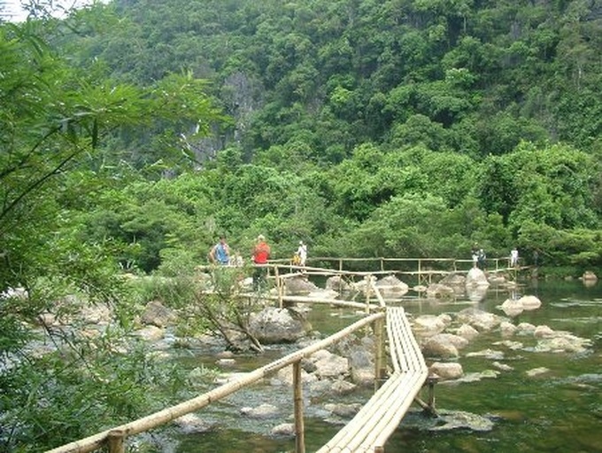 Bird-nest restaurants new feature in Quang Binh eco-resort - 5