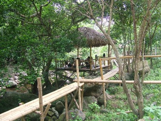 Bird-nest restaurants new feature in Quang Binh eco-resort - 12