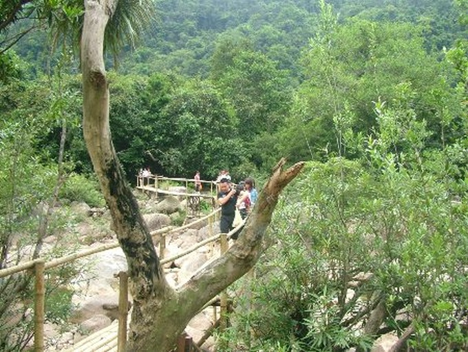 Bird-nest restaurants new feature in Quang Binh eco-resort - 8