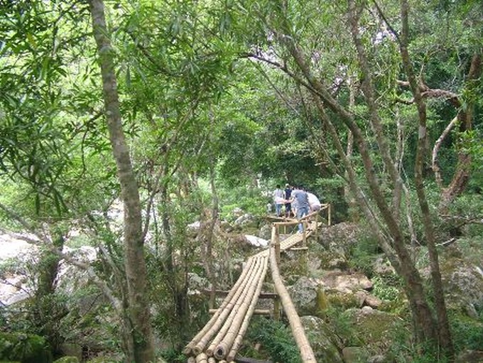 Bird-nest restaurants new feature in Quang Binh eco-resort - 1