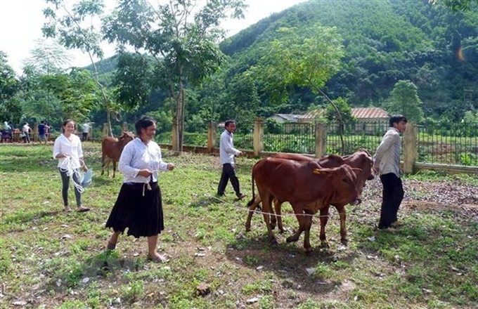 Number for poor households on the rise in ethnic minority areas: official - 1
