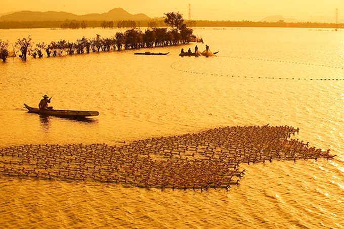 Vietnam’s landscapes hit Russian headlines - 1