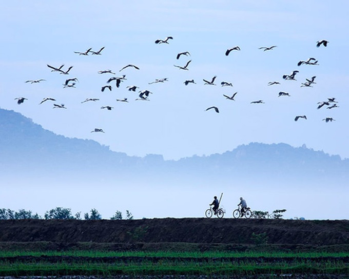 Vietnam’s landscapes hit Russian headlines - 4