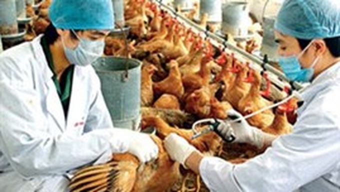 Tougher measures against bird flu - 1 Tougher measures against bird flu - 1