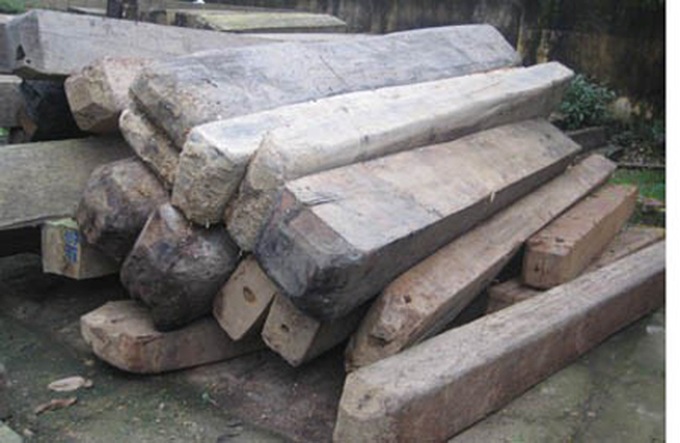 Ha Tinh launches crackdown on illegal carpentry workshops - 1 Ha Tinh launches crackdown on illegal carpentry workshops - 1