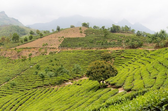 Watching cloud from top of Vietnam’s highest mountain - 17 Watching cloud from top of Vietnam’s highest mountain - 17