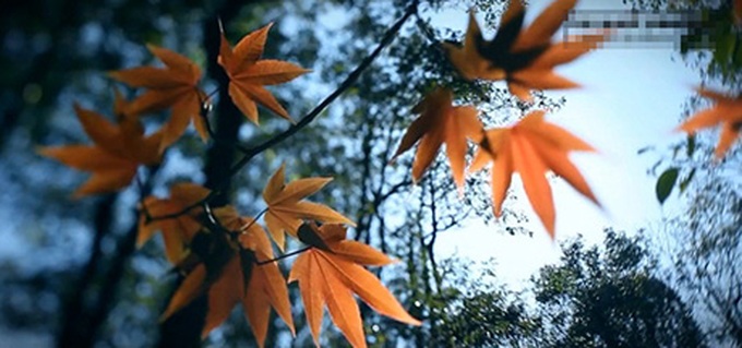 Amateur movie makers draw attention to Vietnam's north-west - 6