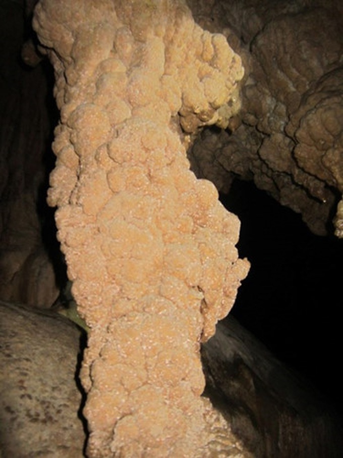 Residents discover new cave in Thanh Hoa - 6