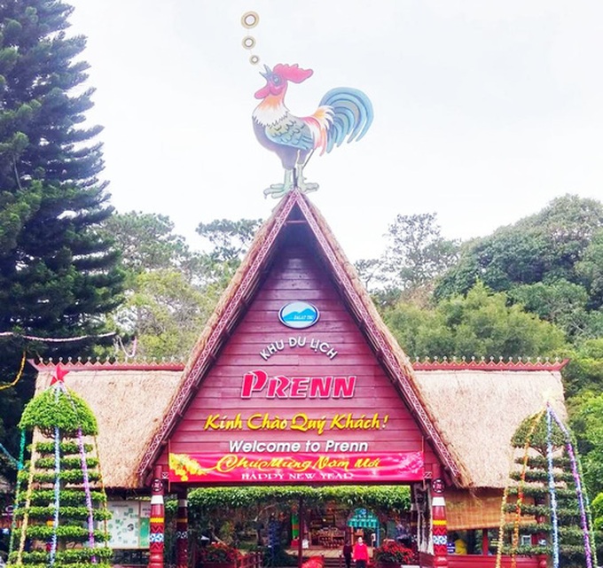 Tourist site in Dalat accused of animal mistreatment - 2