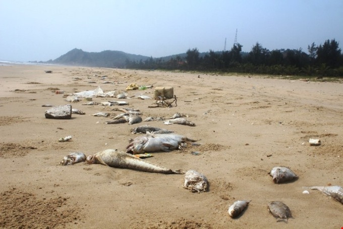 Authorities shirk responsibilities over mass fish deaths - 1 Authorities shirk responsibilities over mass fish deaths - 1