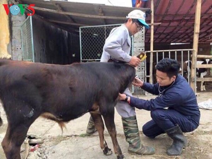 Young teacher creates employment opportunities for students - 1